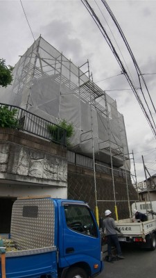 image3.jpeg